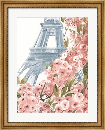 Framed Paris Cherry Blossoms II Print