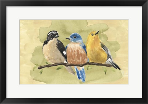 Framed Bird Perch IV Print