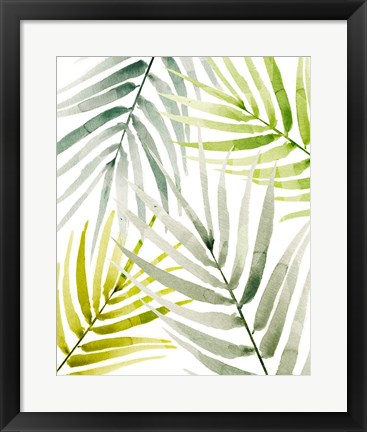 Framed Shady Palm I Print