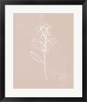 Framed Blush Bloom I Print