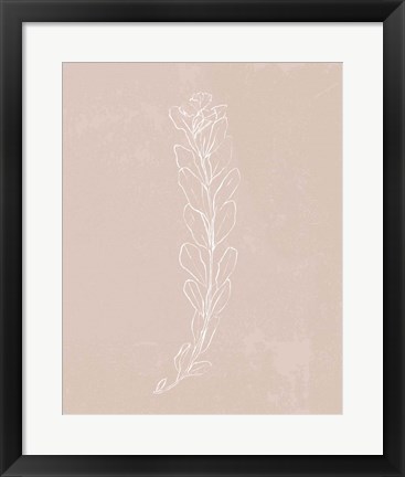 Framed Blush Bloom II Print