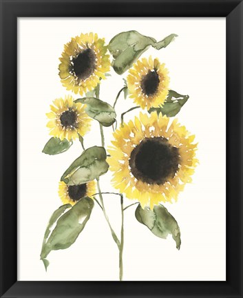 Framed Sunflower Composition I Print