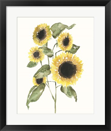 Framed Sunflower Composition I Print