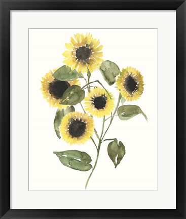 Framed Sunflower Composition II Print