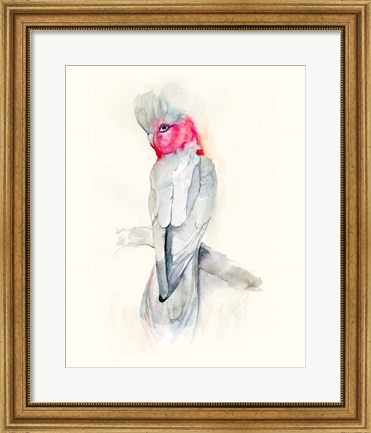 Framed Opera Cockatoo II Print