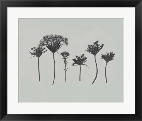 Framed Wildflower Memory I Print