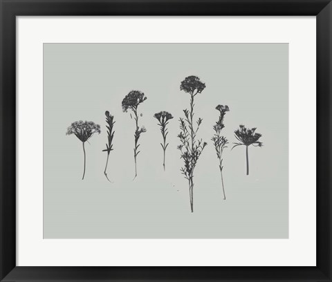 Framed Wildflower Memory II Print