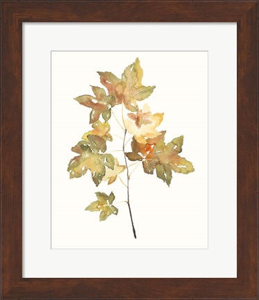 Framed Fall Study I Print