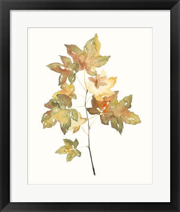 Framed Fall Study I Print