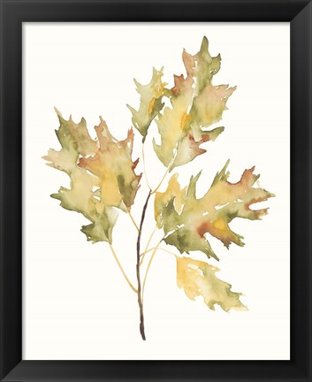 Framed Fall Study II Print