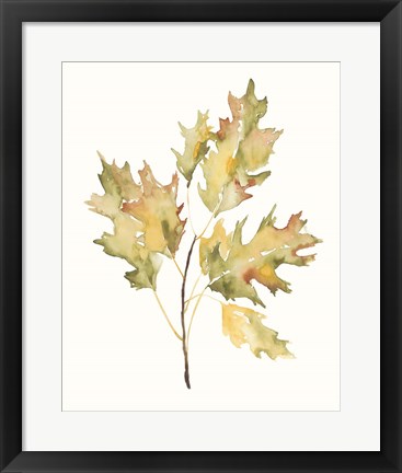 Framed Fall Study II Print