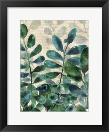 Framed Verdant Sophistication III Print