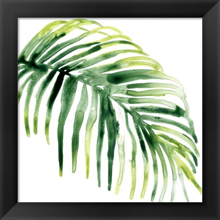 Framed Tropical Jewel V Print