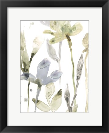 Framed Stone Moss Stems II Print