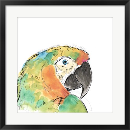 Framed Tropical Bird Portrait IV Print