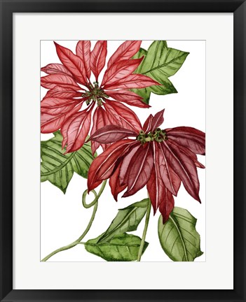 Framed Merry Blossom III Print