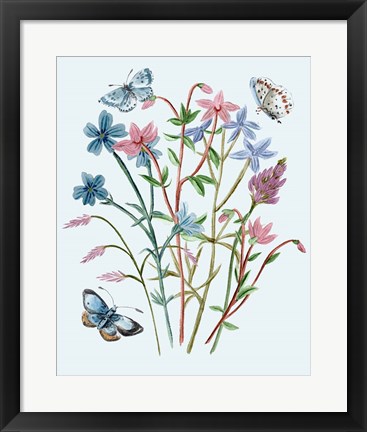 Framed Wildflowers Arrangements III Print