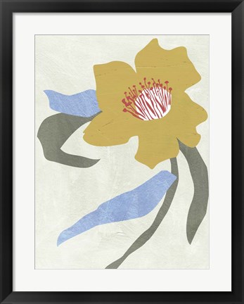 Framed Lenten Rose II Print