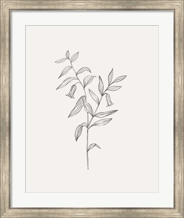 Framed Wild Foliage Sketch IV Print