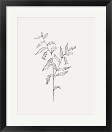 Framed Wild Foliage Sketch IV Print