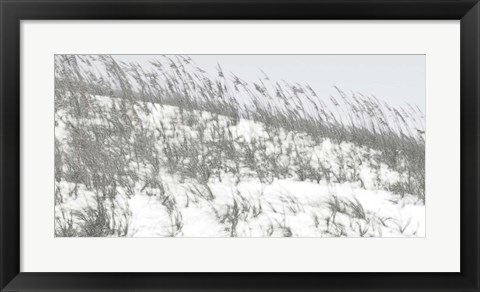 Framed Lush Dunes II Print