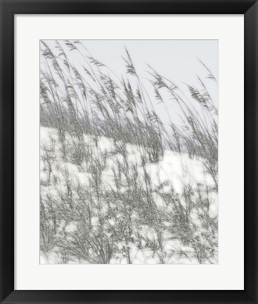 Framed Lush Dunes III Print