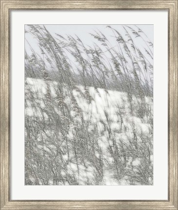 Framed Lush Dunes VI Print