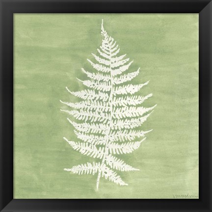 Framed Forest Ferns I Print