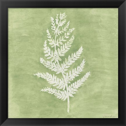 Framed Forest Ferns II Print