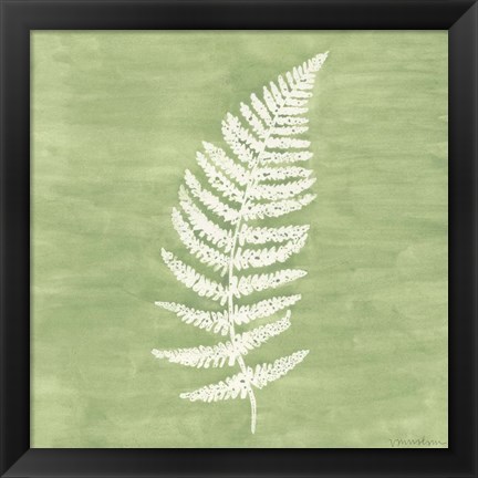 Framed Forest Ferns III Print