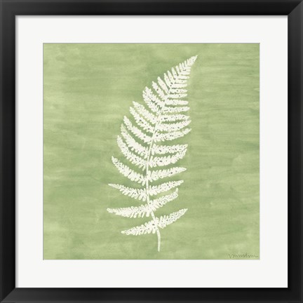 Framed Forest Ferns III Print