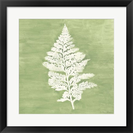 Framed Forest Ferns IV Print