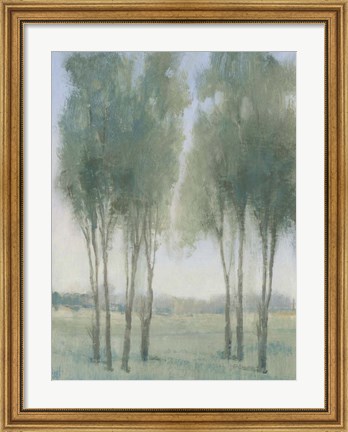 Framed Tree Grove I Print