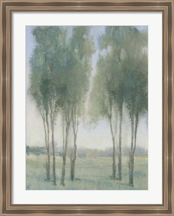 Framed Tree Grove I Print