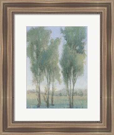 Framed Tree Grove II Print