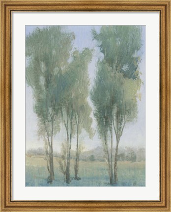 Framed Tree Grove II Print