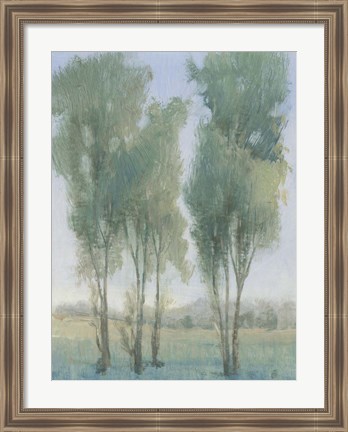 Framed Tree Grove II Print