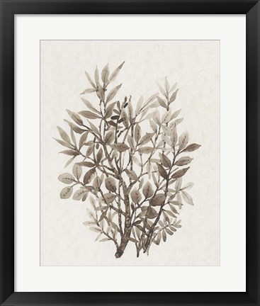 Framed Leaf Arrangement IV Print