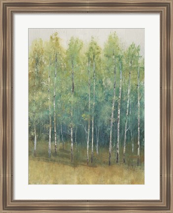 Framed Woodland Edge II Print