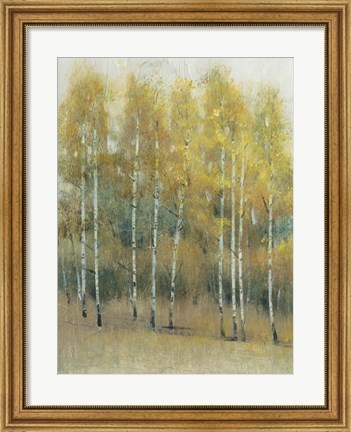 Framed Woodland Edge III Print