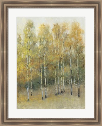 Framed Woodland Edge IV Print