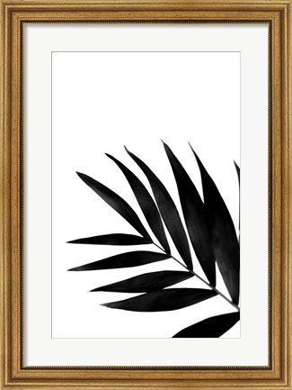 Framed Black Palms II Print