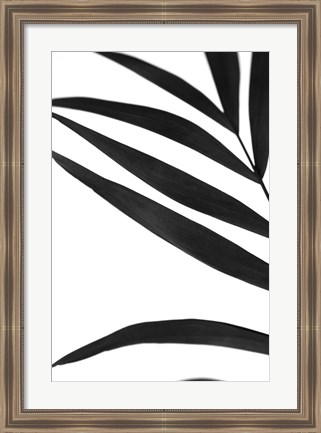 Framed Black Palms VI Print