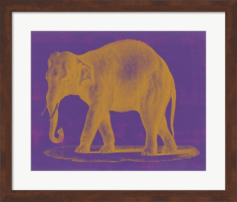 Framed Safari Pop II Print