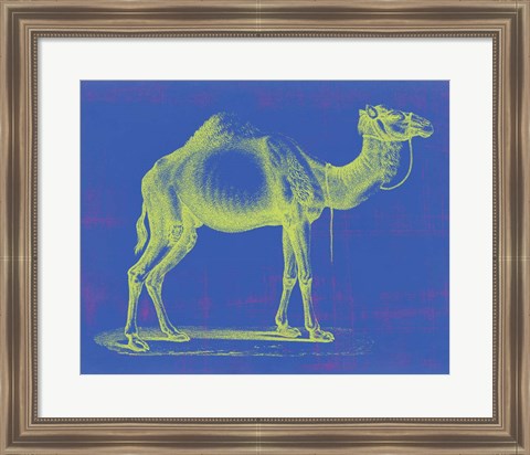 Framed Safari Pop III Print