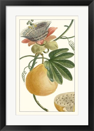 Framed Turpin Exotic Botanical III Print