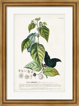 Framed Alluring Botamical VIII Print