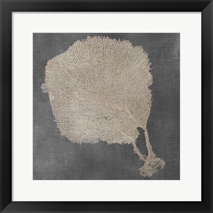 Framed Natural Sea Fan II Print