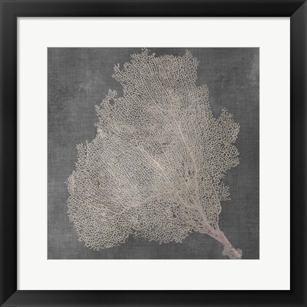 Framed Natural Sea Fan VII Print