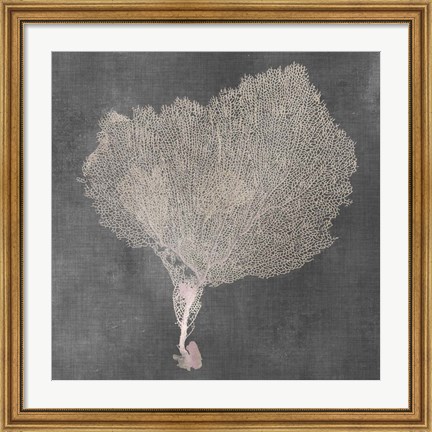 Framed Natural Sea Fan VIII Print